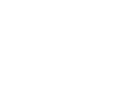 lg-icon